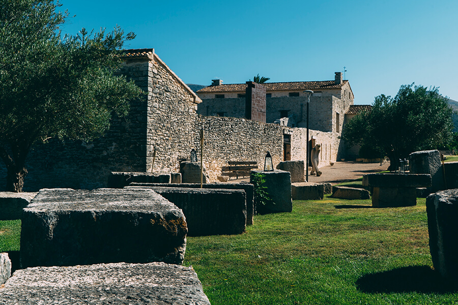 Albero y Piedra