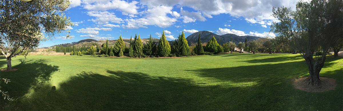 Jardín de los Olivos