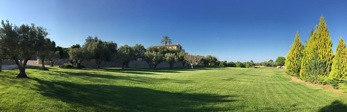 Jardín de los Olivos