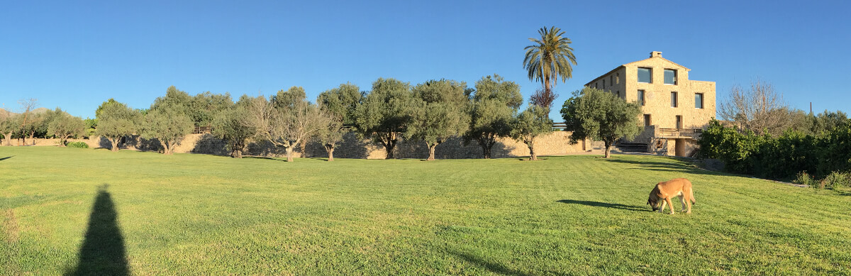 Jardín de los Olivos