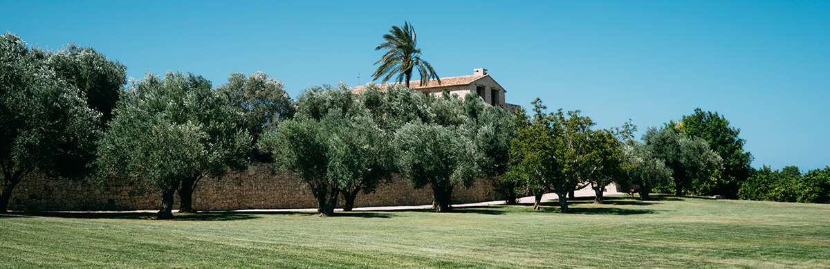 Jardín de los Olivos